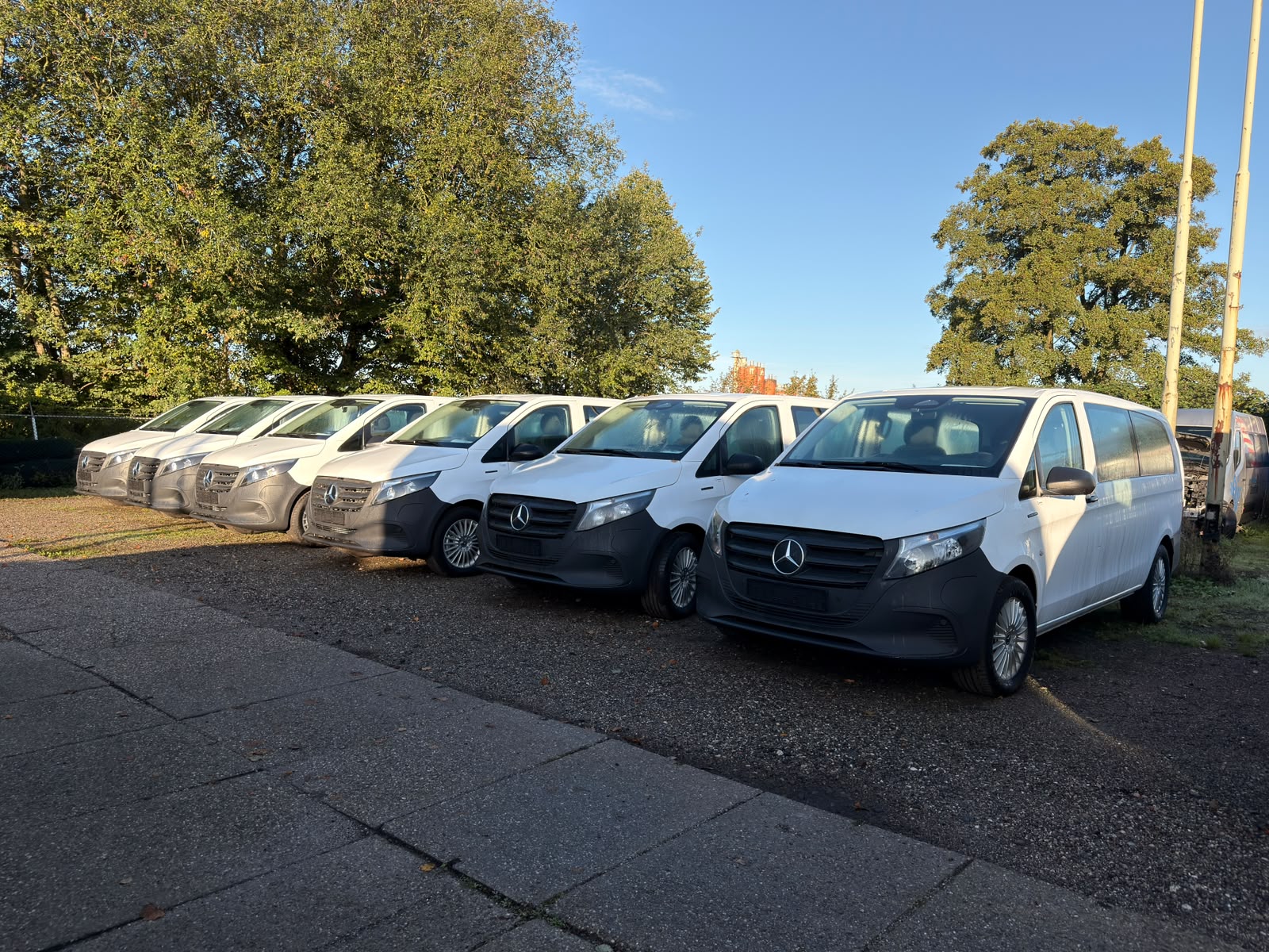 Rij witte bedrijfsvoertuigen op een buitenterrein